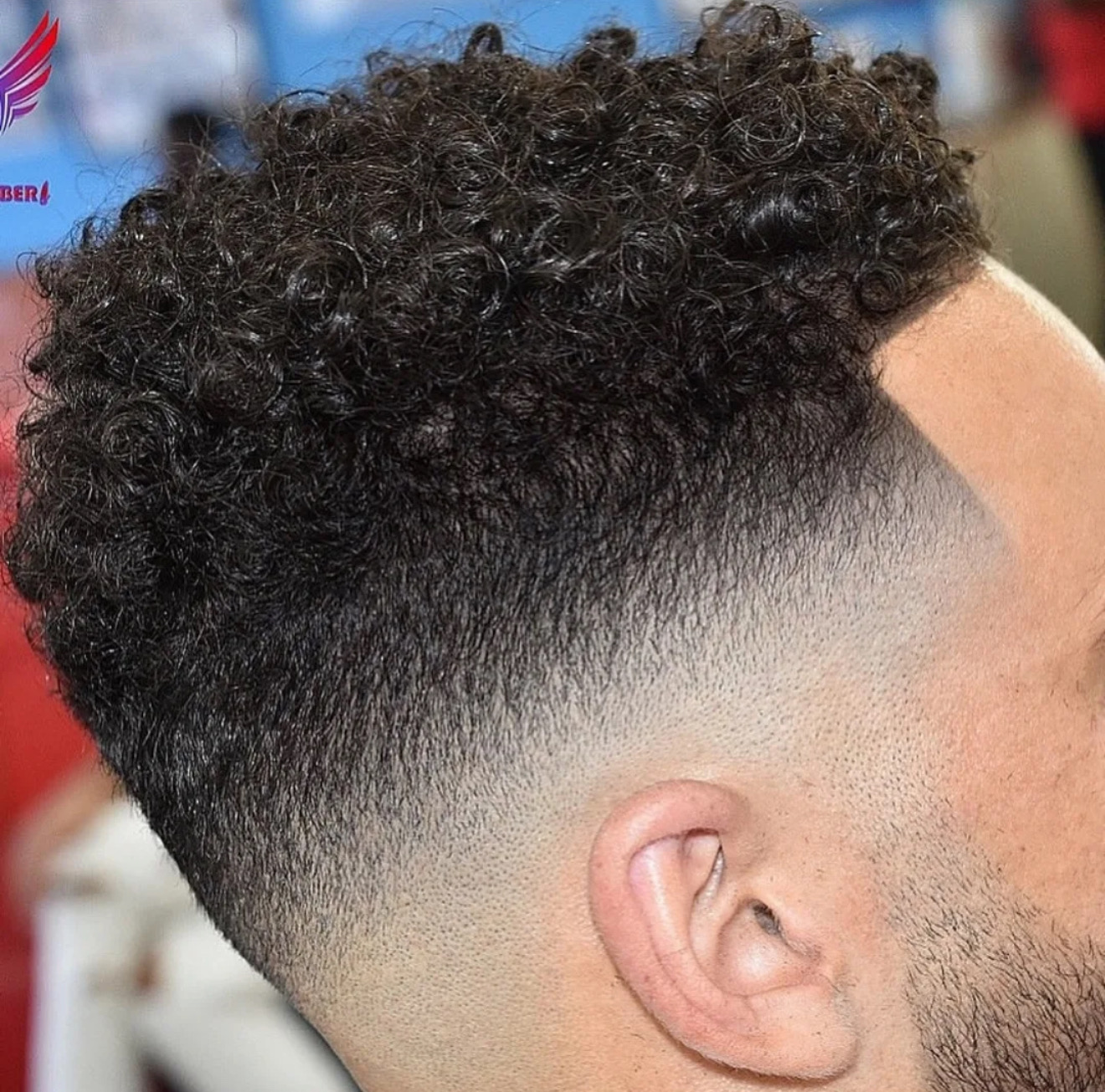 Burst fade with curly top
